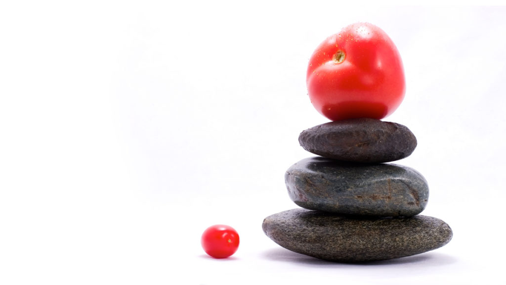 Fuel For Life: 10 Strategies for Nutritional Freedom