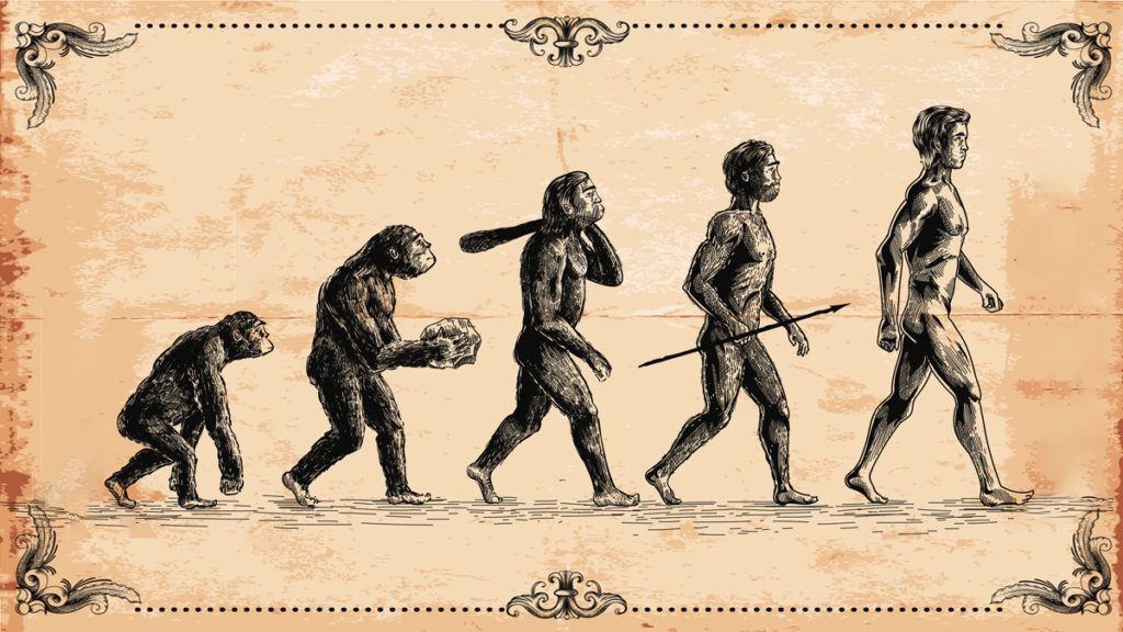 For the Love of Darwin: Beyond the Selfish Gene
