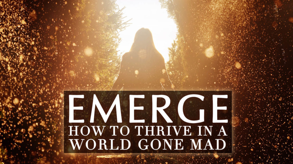 Emerge: How to Thrive in a World Gone Mad
