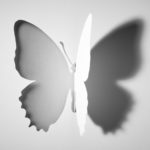 ShadowButterfly-2