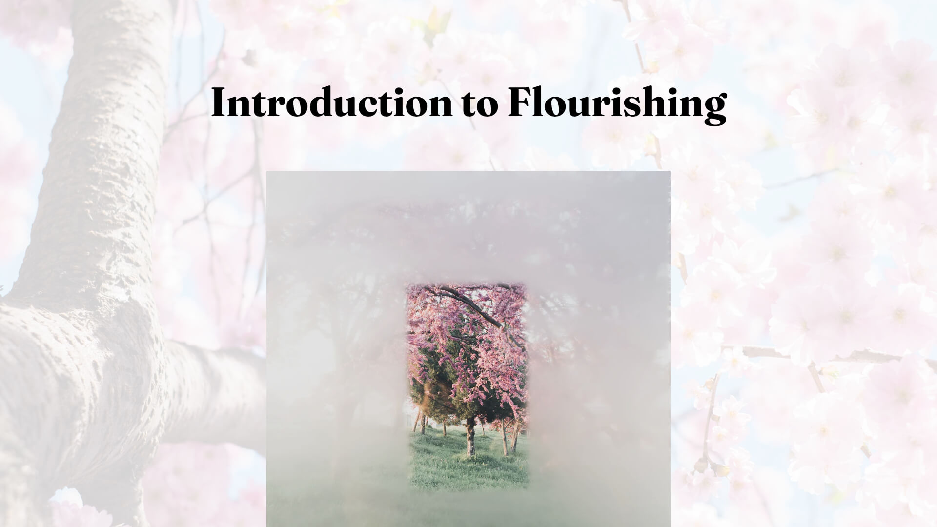 Introduction to Flourishing