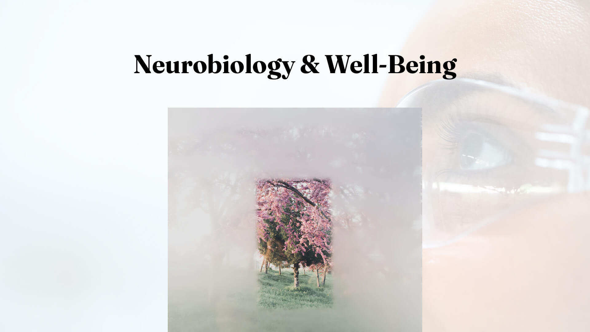 Neurobiology & Well-Being