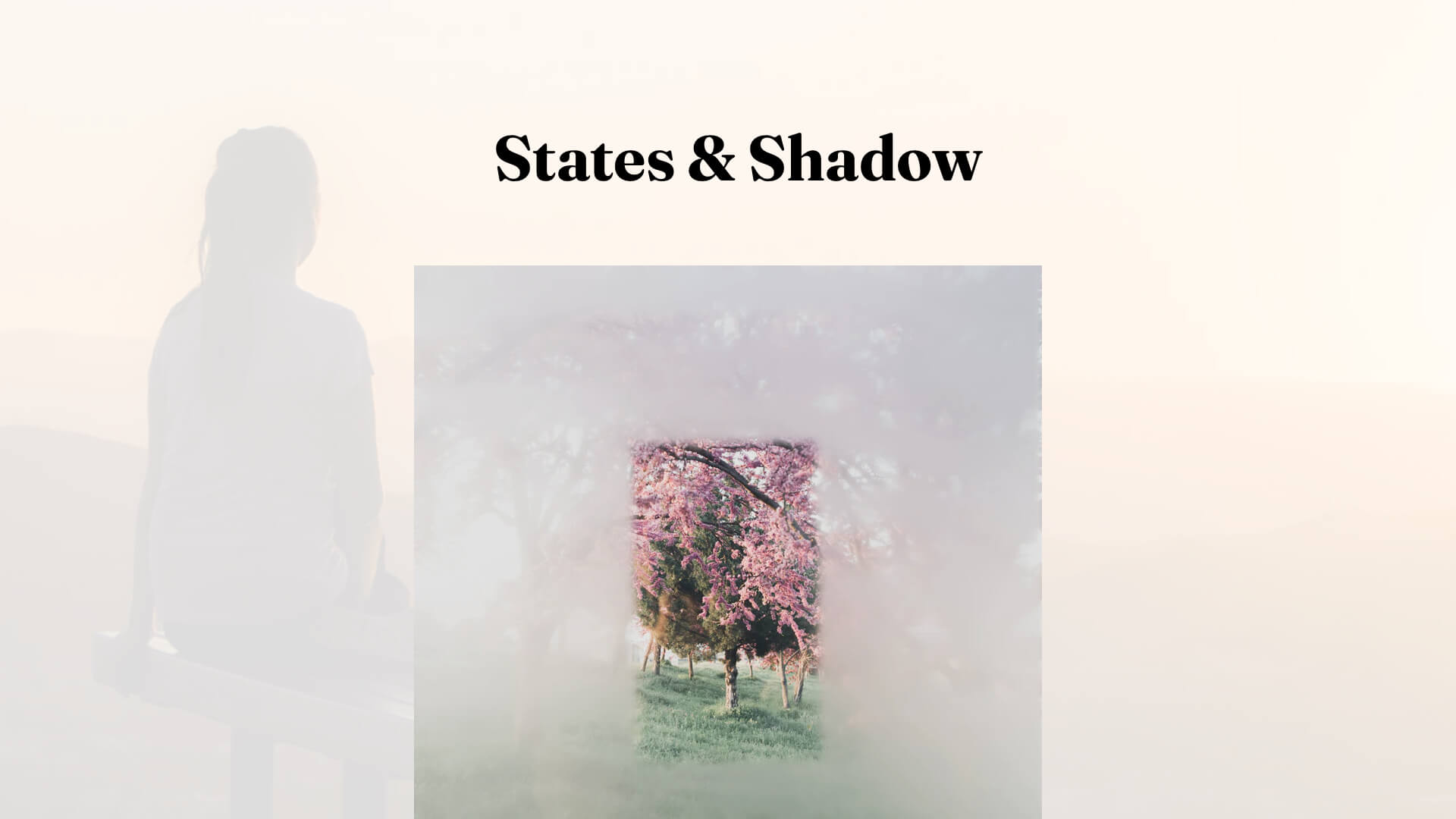 States & Shadow