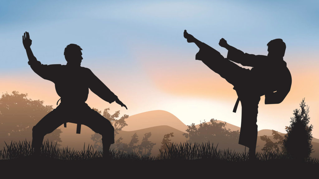 Martial Arts and Psychotherapy