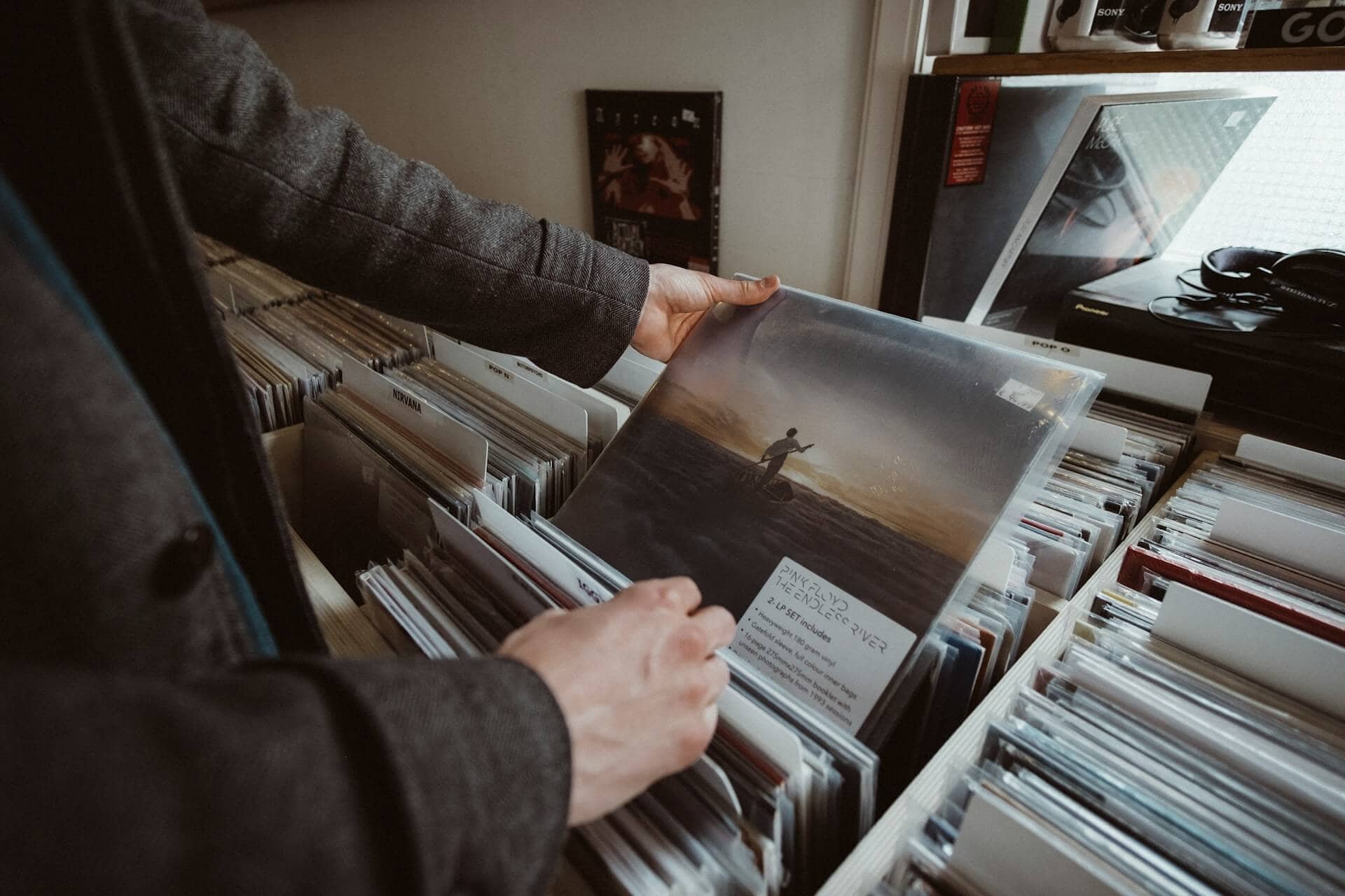 Editor's Picks