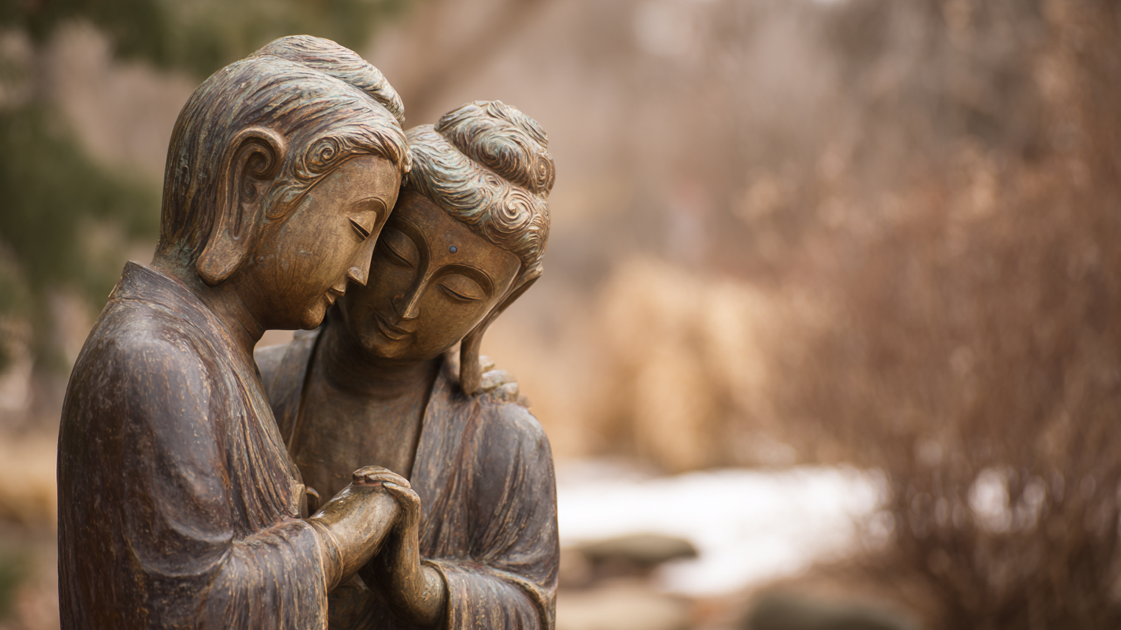 Embodying Compassion: The Practice of Loving Everyone